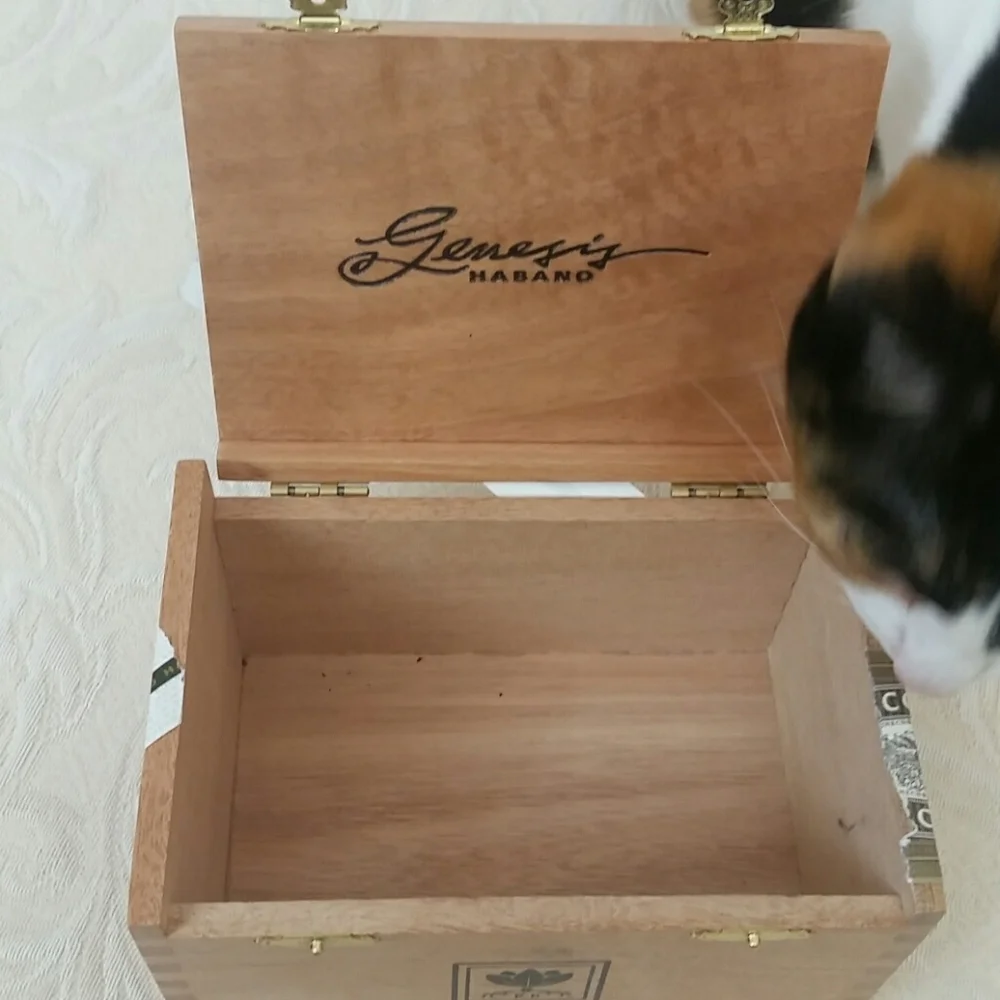 Genesis graphic wooden cigar box hinged latched